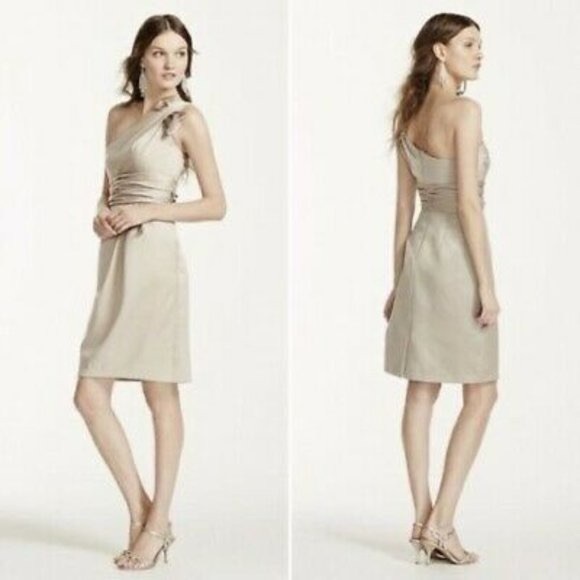 David’s Bridal Bridesmaids Dress - Picture 2 of 5